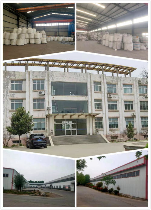 名企丨鹏程硅业 凌风展翅 鹏程万里